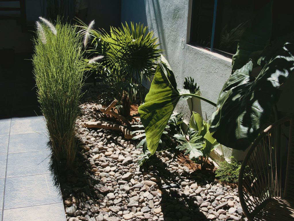 menggunakan tanaman hias